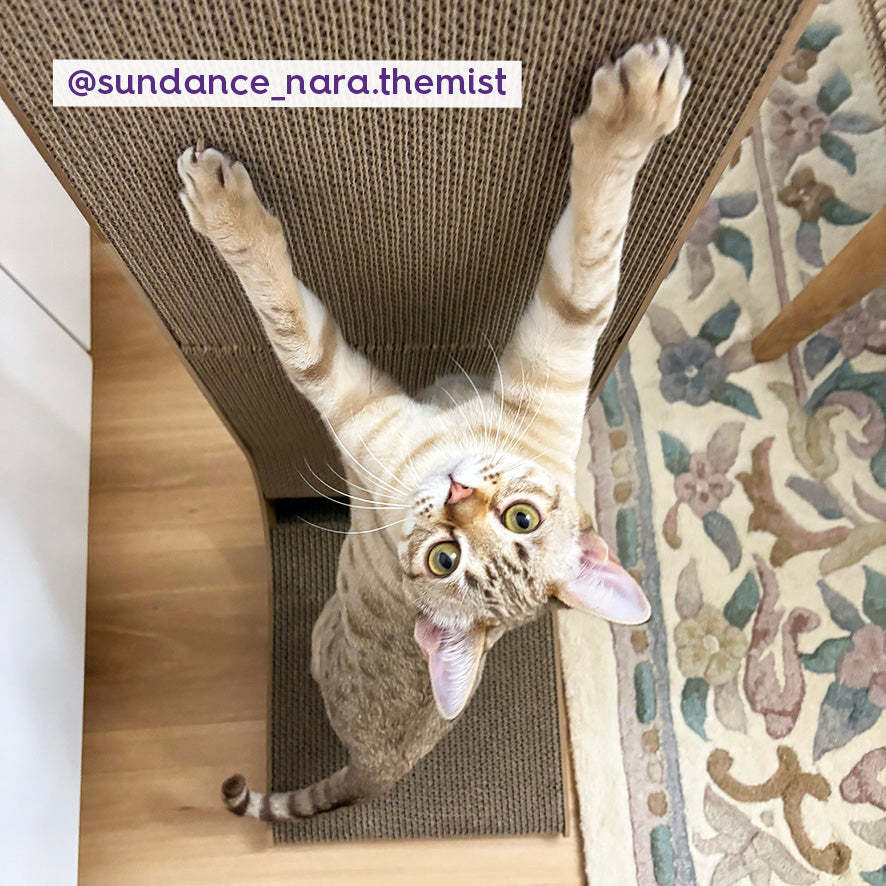 Wall & Ball Vertical Cat Scratch Pad