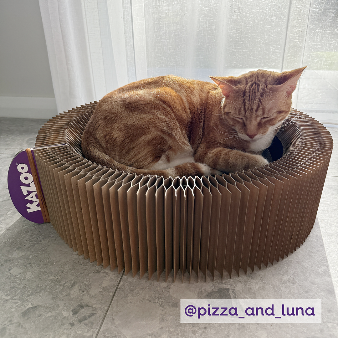 Kitty Accordion Cardboard Bed With Ball