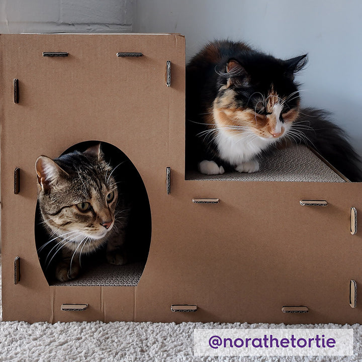 Two Story Kitty Villa