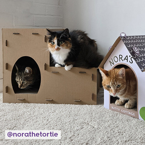 Two Story Kitty Villa