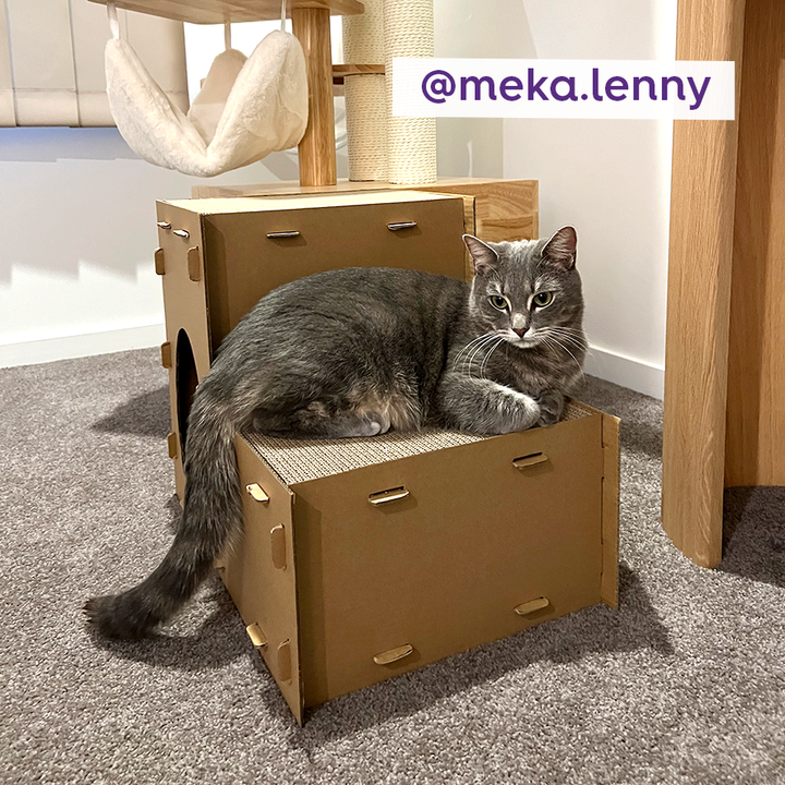 Two Story Kitty Villa