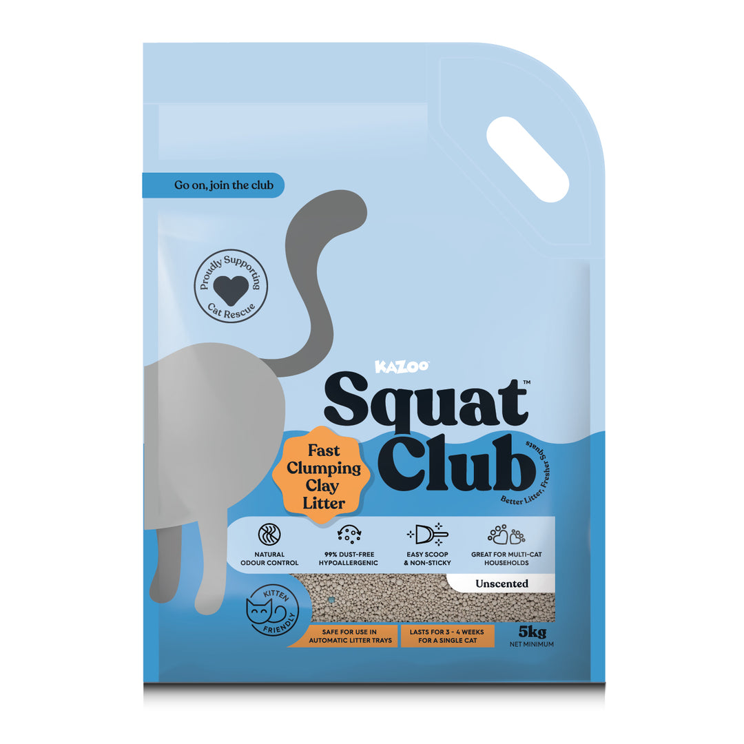 Fast Clumping Clay Cat Litter Unscented