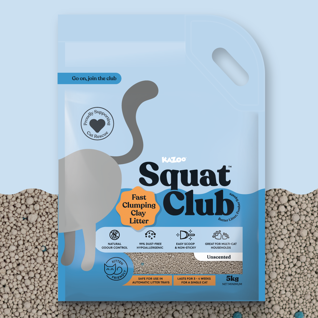 Fast Clumping Clay Cat Litter Unscented