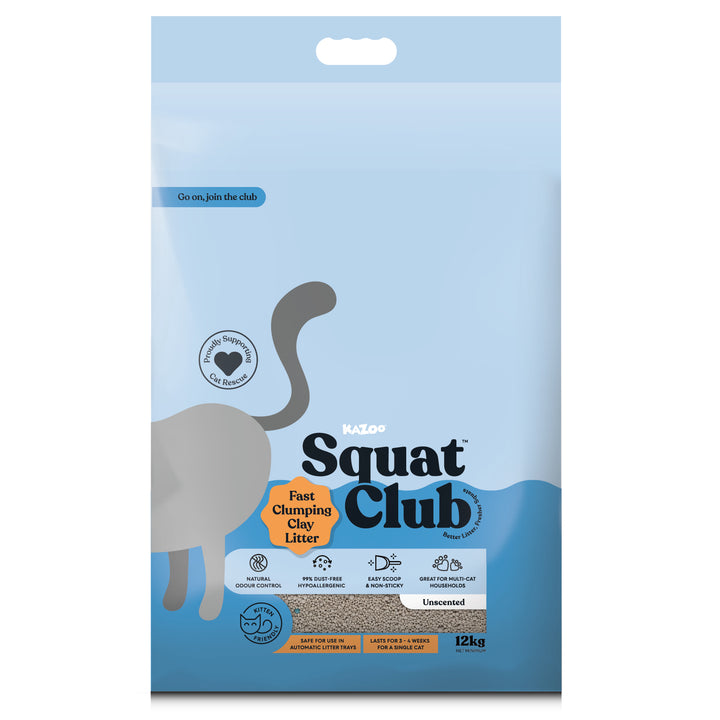 Fast Clumping Clay Cat Litter Unscented