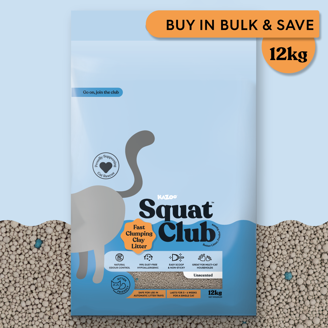 Fast Clumping Clay Cat Litter Unscented