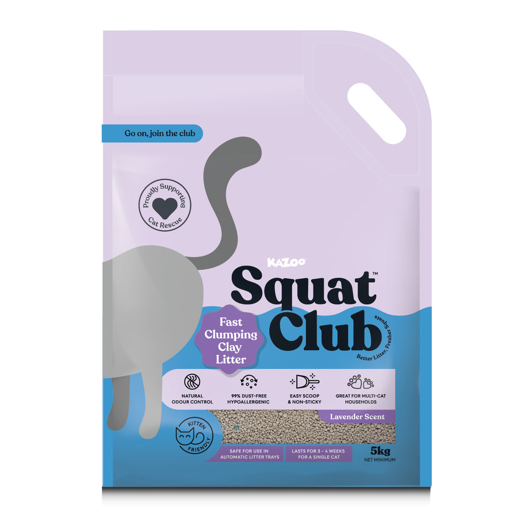 Fast Clumping Clay Cat Litter Lavender