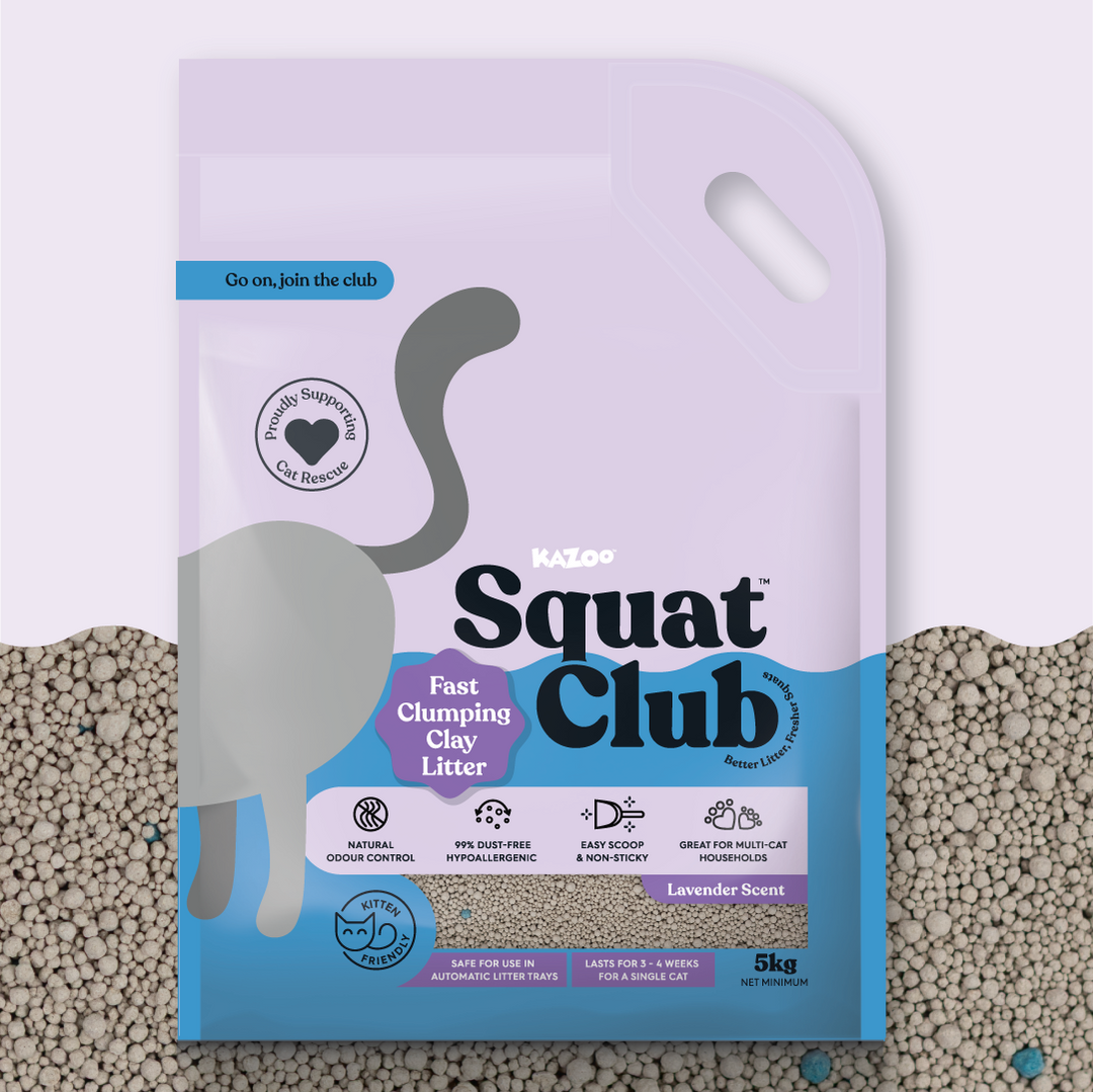 Fast Clumping Clay Cat Litter Lavender