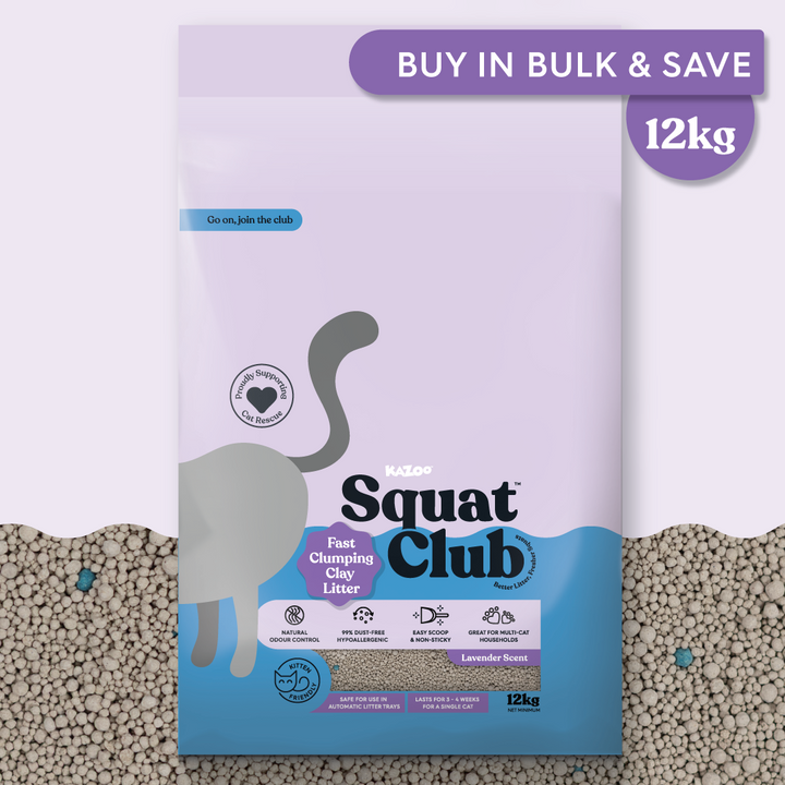 Fast Clumping Clay Cat Litter Lavender