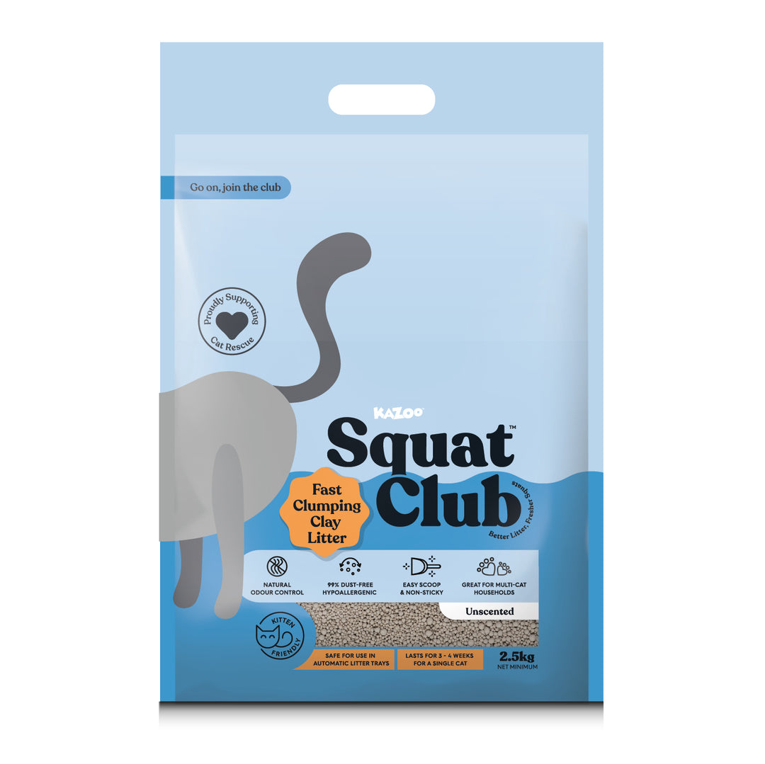 Fast Clumping Clay Cat Litter - 2.5kg Sample Pack