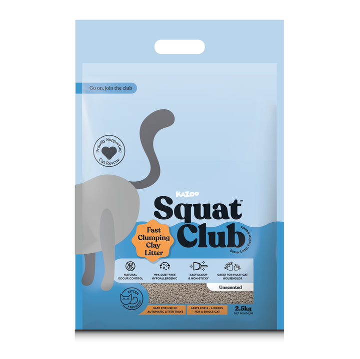 Fast Clumping Clay Cat Litter - 2.5kg Sample Pack