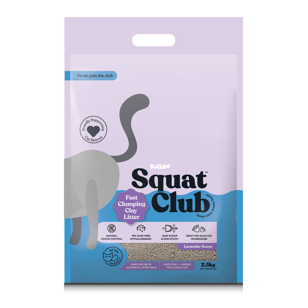 Fast Clumping Clay Cat Litter - 2.5kg Sample Pack