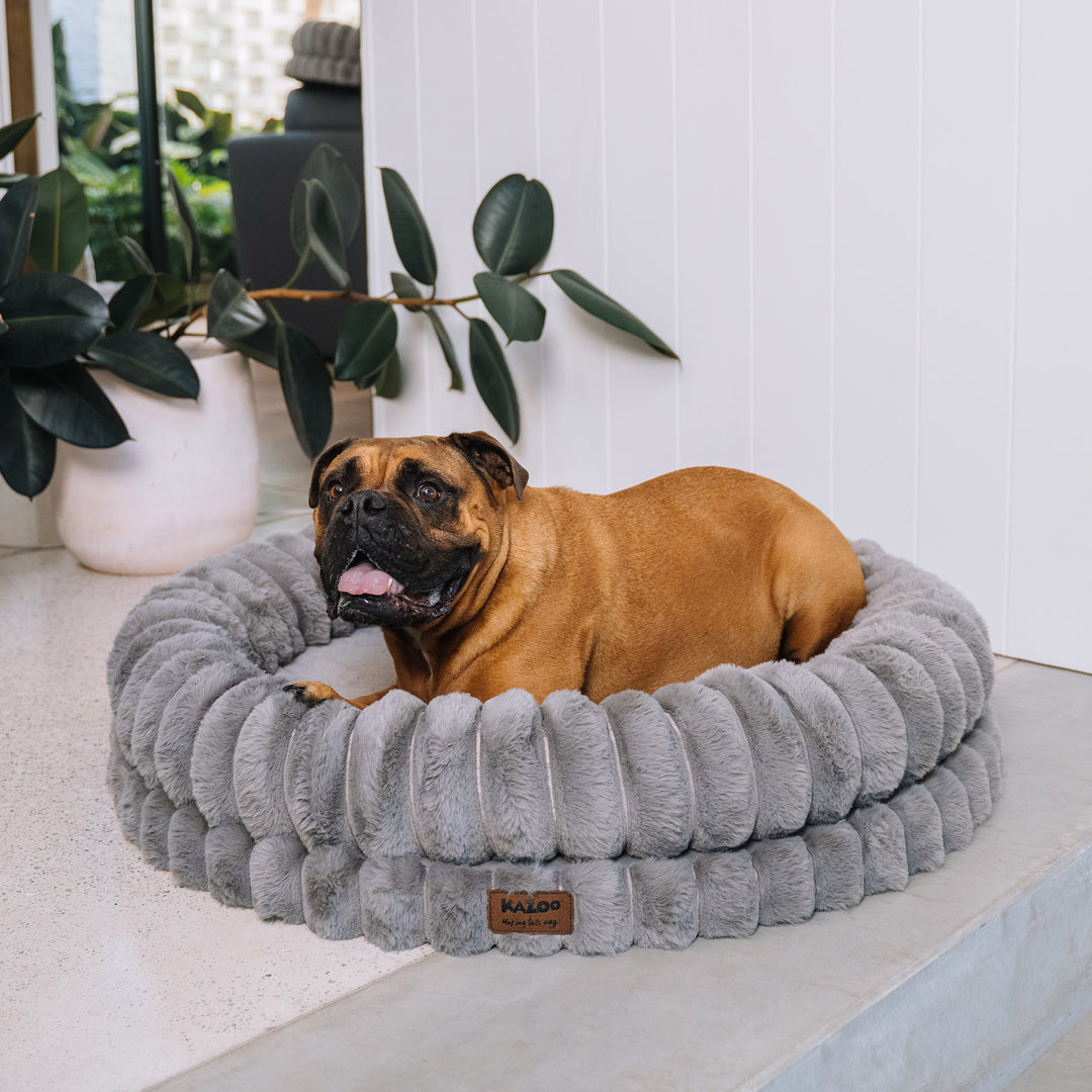 Donut Snuggle Dog Bed - Warm Grey