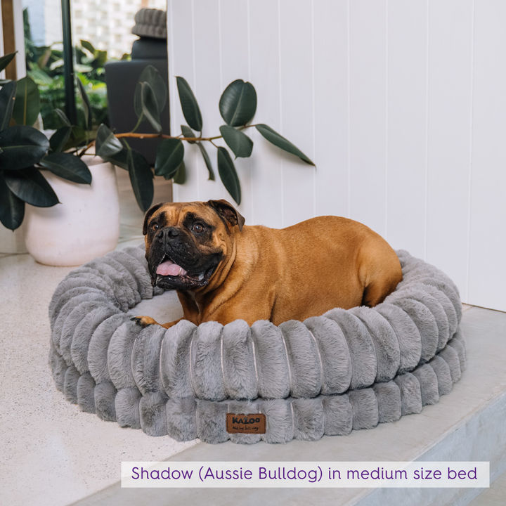 Donut Snuggle Dog Bed - Warm Grey