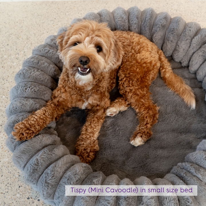 Donut Snuggle Dog Bed - Warm Grey