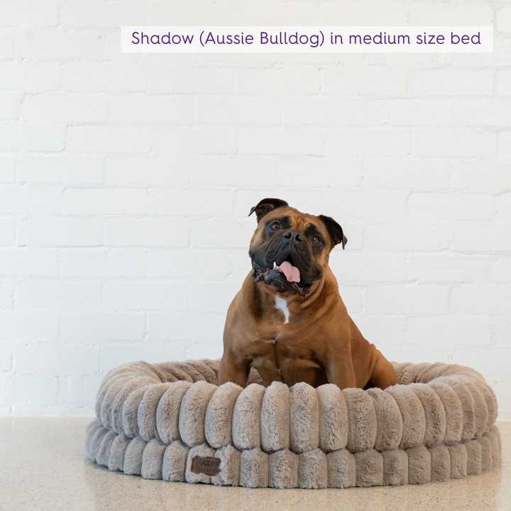 Donut Snuggle Dog Bed - Beige