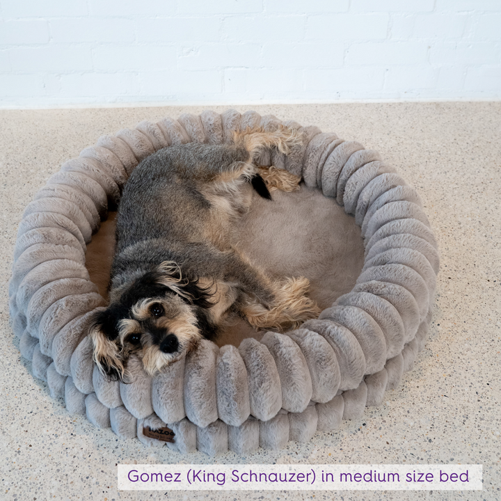 Donut Snuggle Dog Bed - Beige