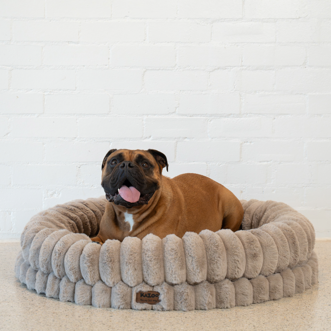 Donut Snuggle Dog Bed - Beige