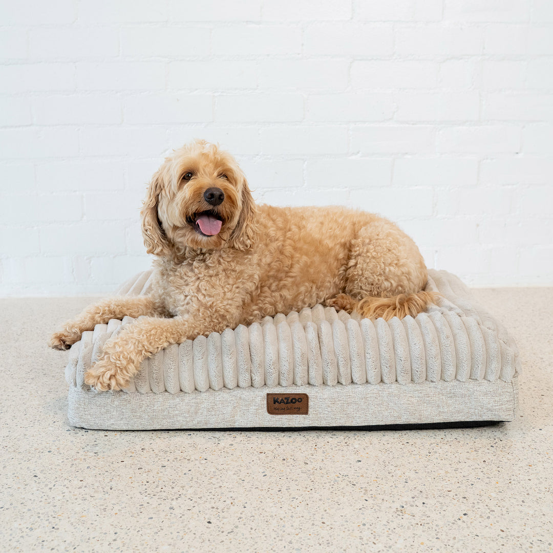 Cloud Comfort Dog Bed - Beige
