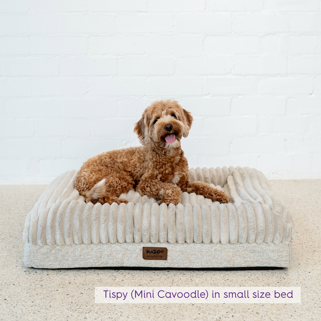 Cloud Comfort Dog Bed - Beige