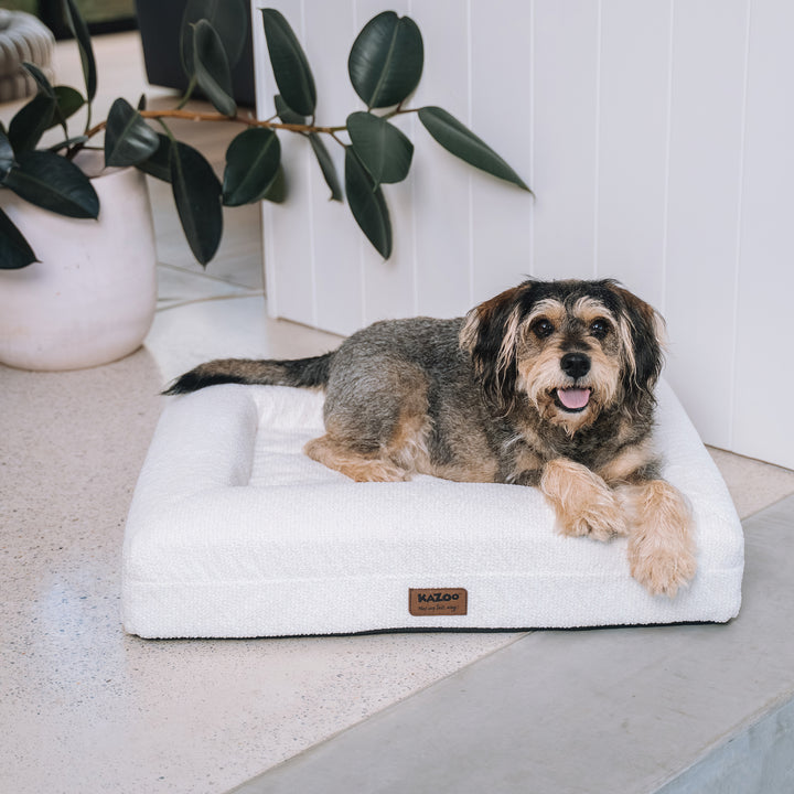 Wombat Dog Bed - Cream Boucle