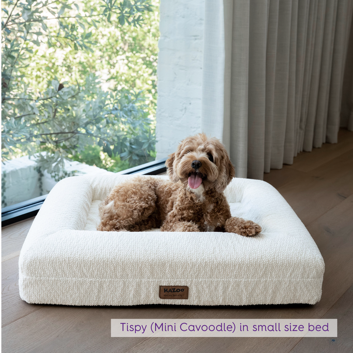 Wombat Dog Bed Replacement Cover - Cream Boucle