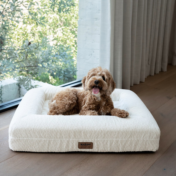 Wombat Dog Bed - Cream Boucle