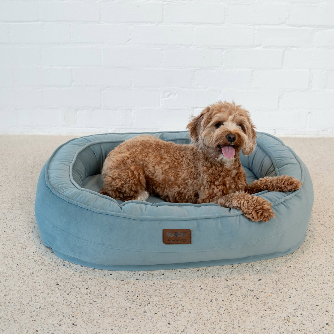 Loop Neck Support Dog Bed - Blue