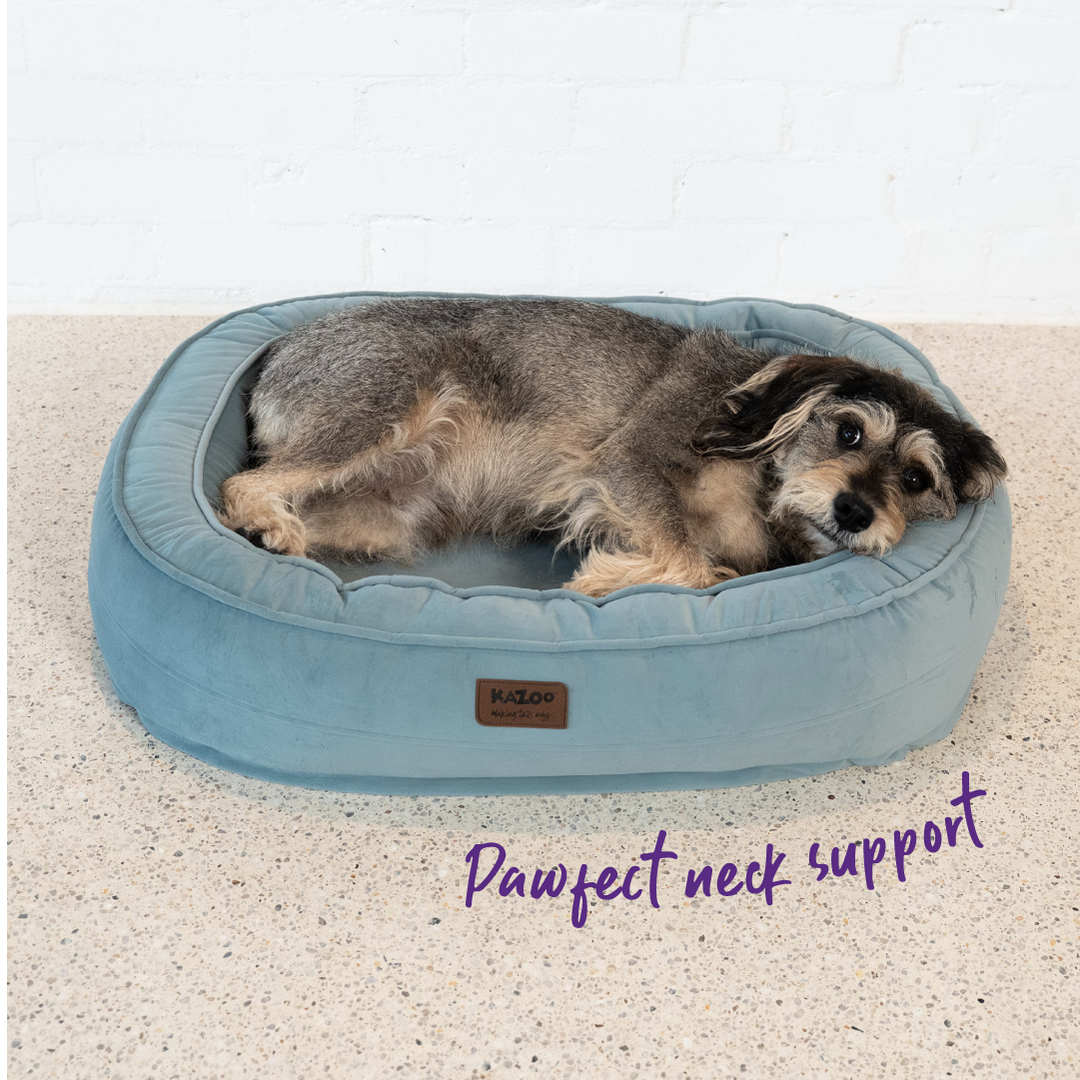 Loop Neck Support Dog Bed - Blue