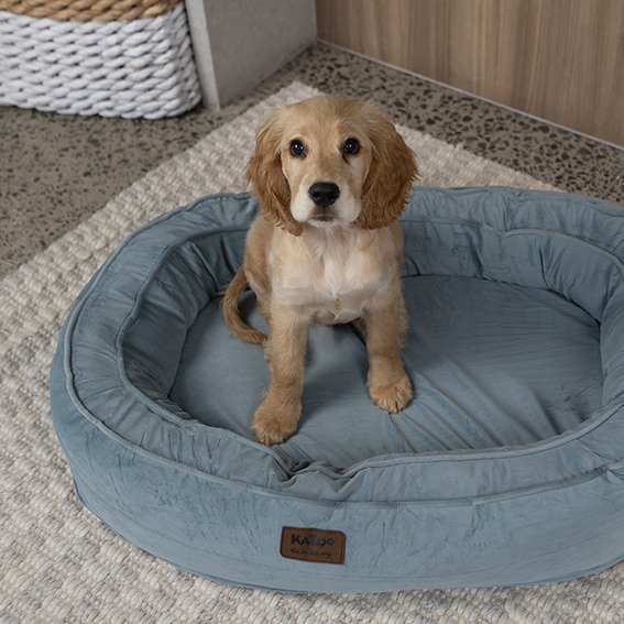 Loop Neck Support Dog Bed - Blue