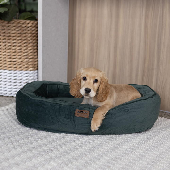 Loop Neck Support Dog Bed - Sage Green