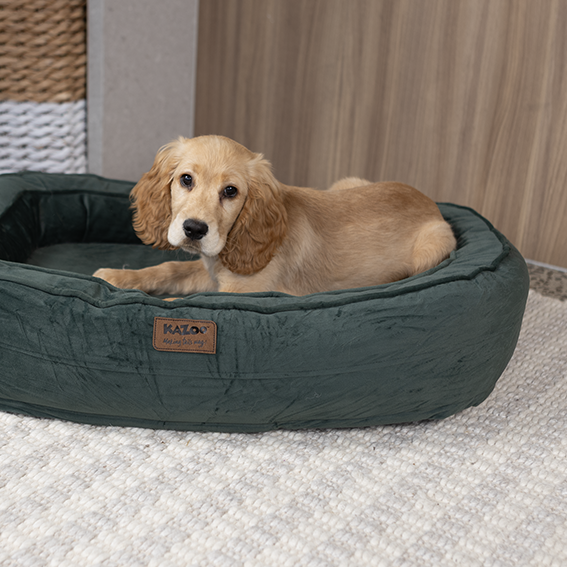 Loop Neck Support Dog Bed - Sage Green
