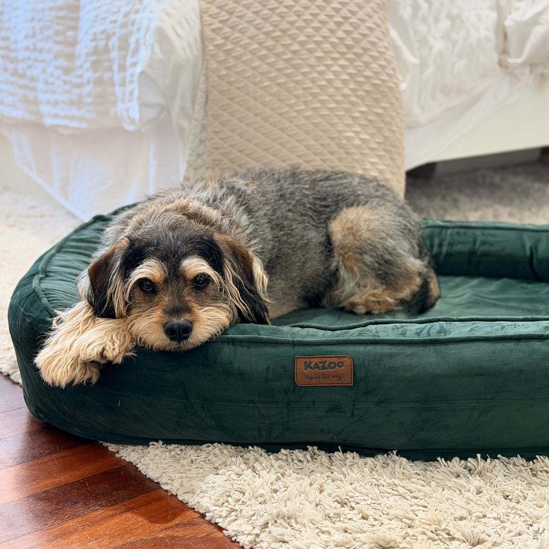 Loop Neck Support Dog Bed - Sage Green