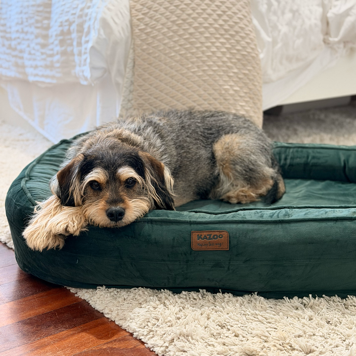 Loop Neck Support Dog Bed - Sage Green