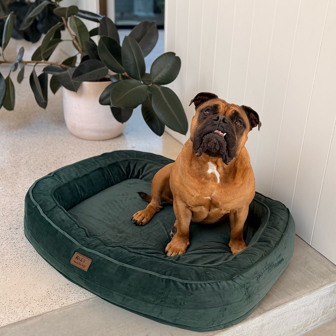 Loop Neck Support Dog Bed - Sage Green