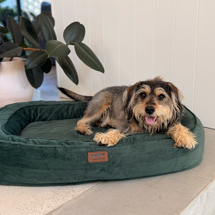 Loop Neck Support Dog Bed - Sage Green