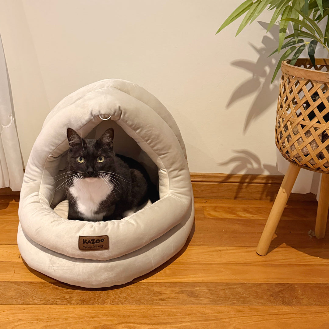 Scoop Cat Bed