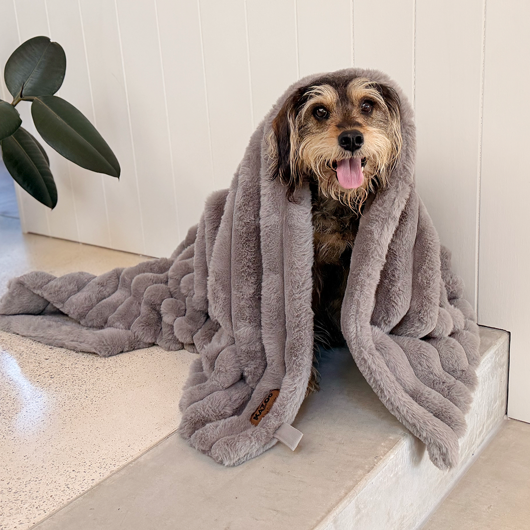 Ribbed Pet Blanket - Warm Grey