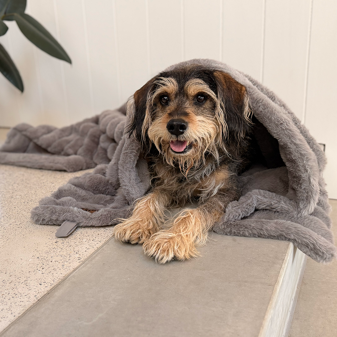 Ribbed Pet Blanket - Warm Grey
