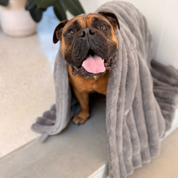 Ribbed Pet Blanket - Warm Grey