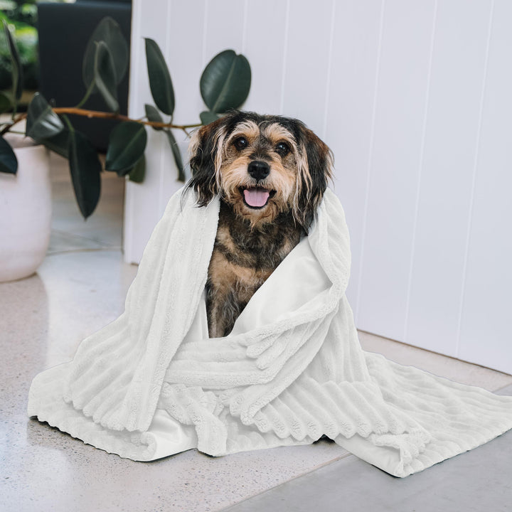 Ribbed Pet Blanket - Cream