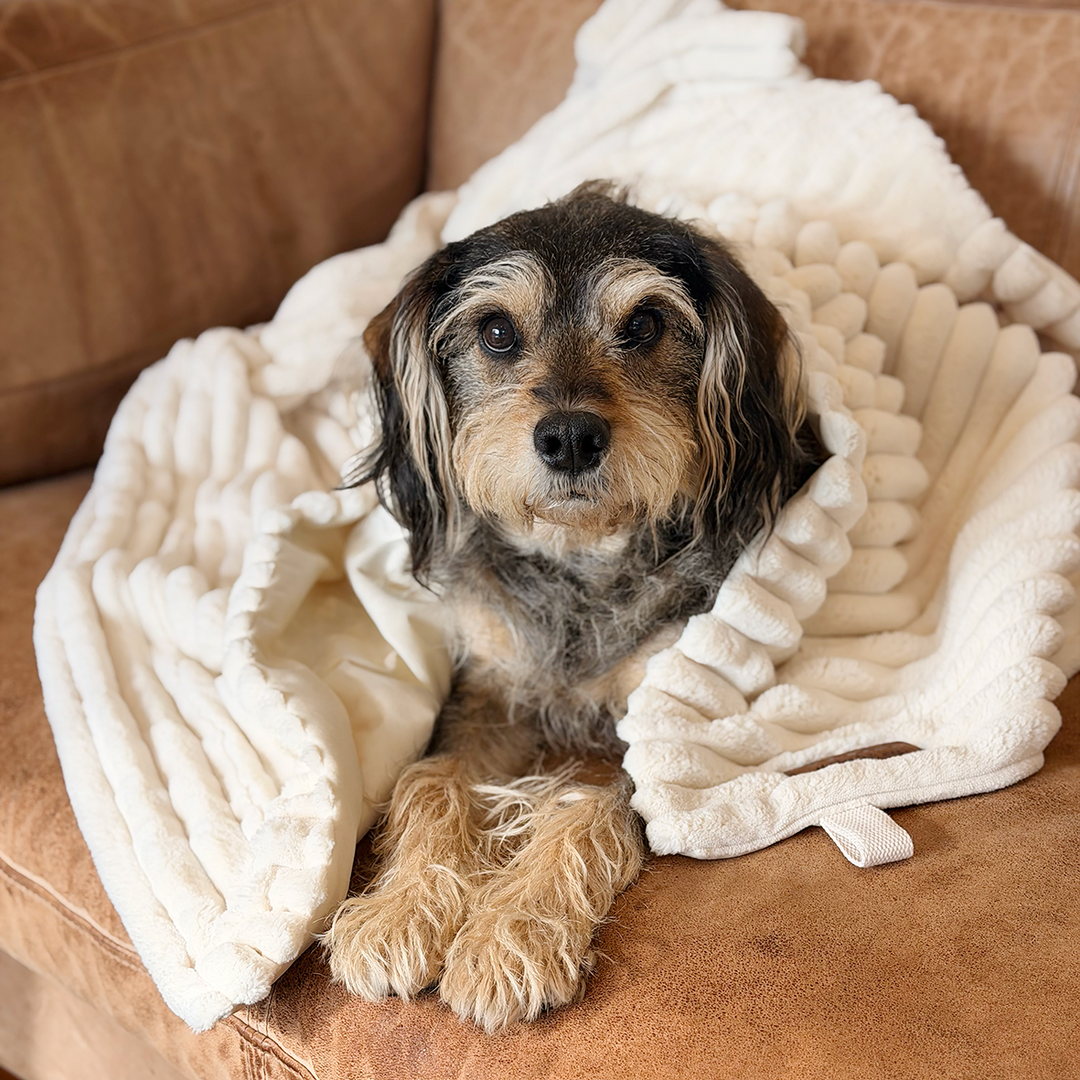 Ribbed Pet Blanket - Cream