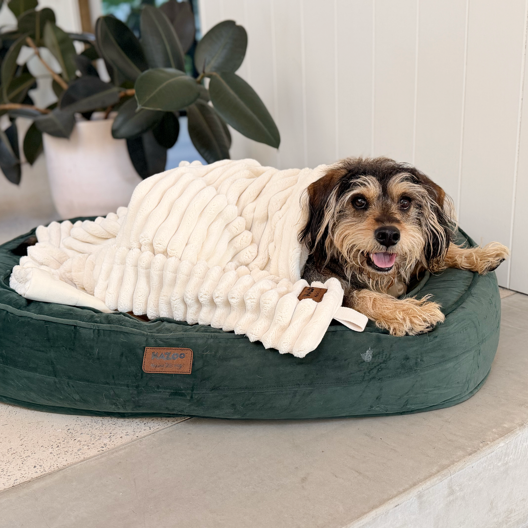 Ribbed Pet Blanket - Cream