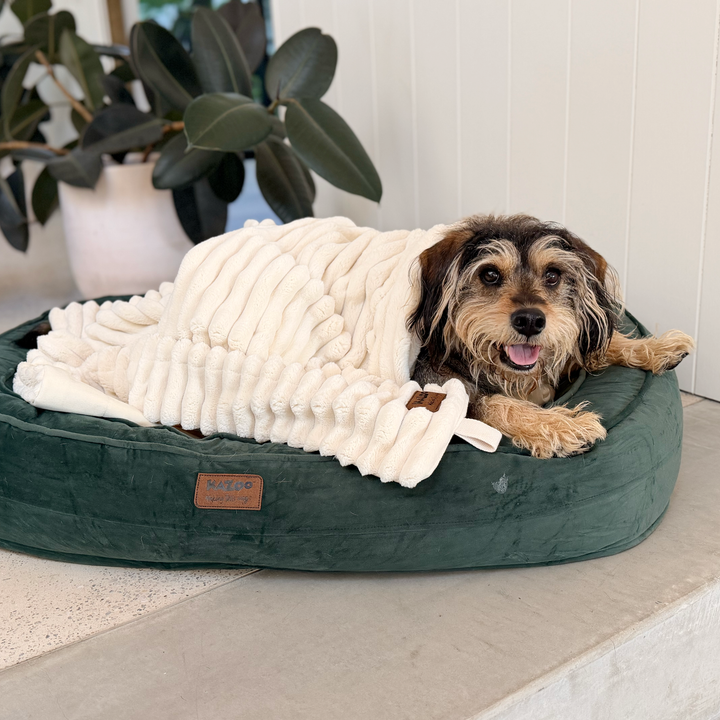 Ribbed Pet Blanket - Cream