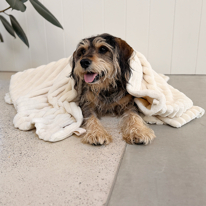 Ribbed Pet Blanket - Cream