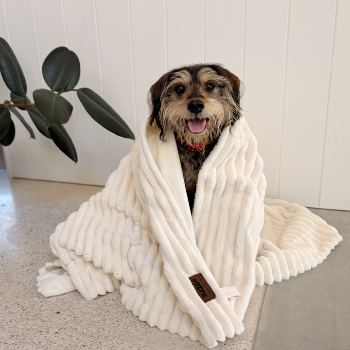 Ribbed Pet Blanket - Cream
