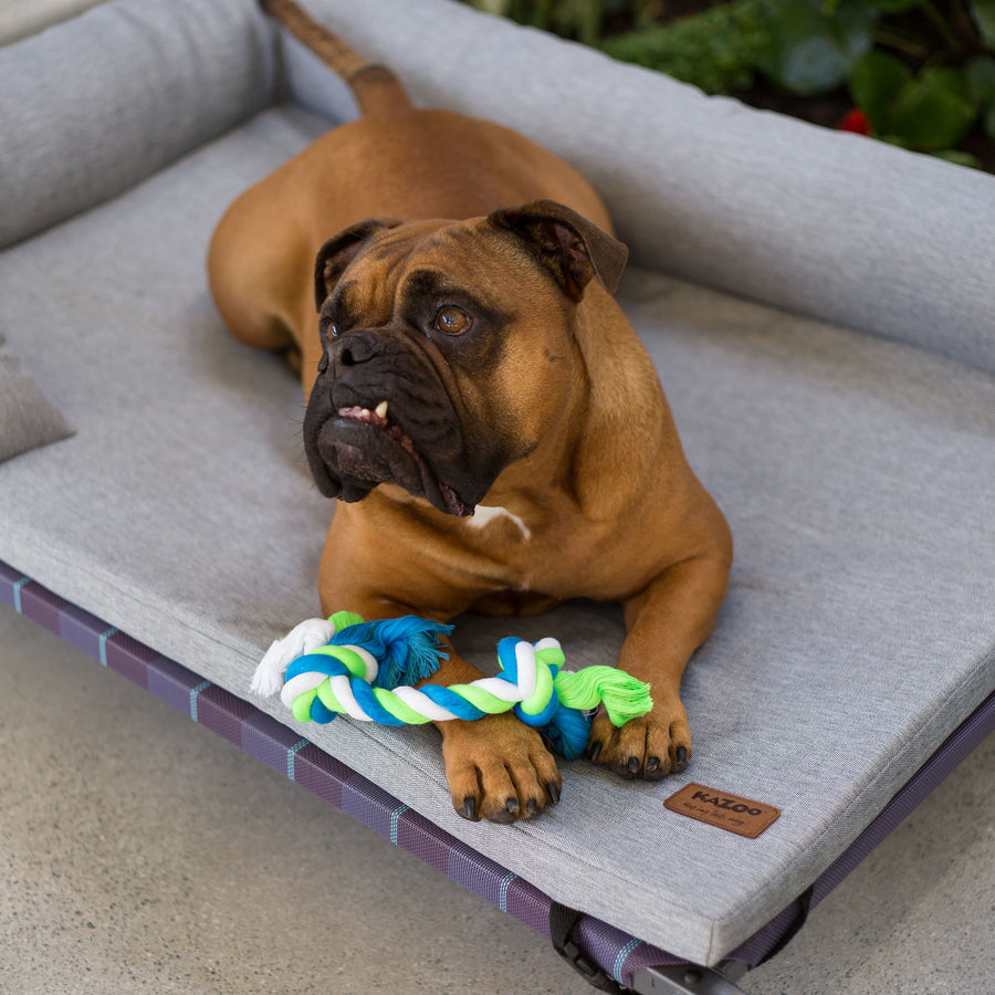 Large Outdoor Dog Bed Xl Dog Cot Ranslen Elevated Dog Bed With