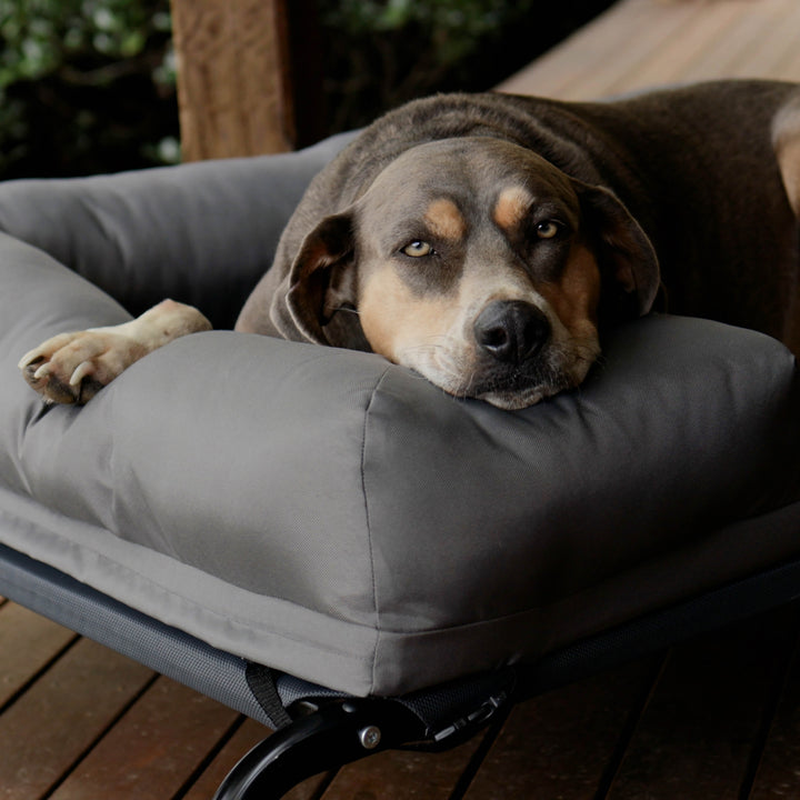 Outdoor Lounge Dog Bed Topper - Slate