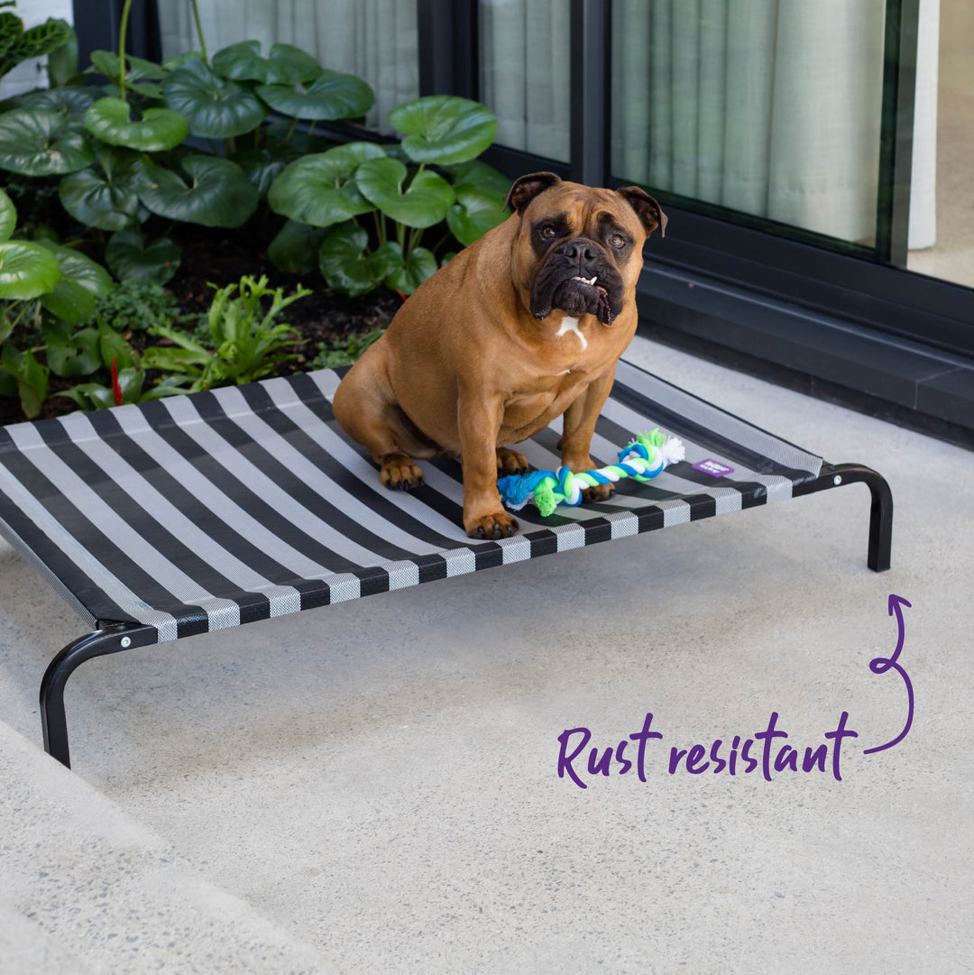 Everyday Outdoor Dog Bed - Black & White