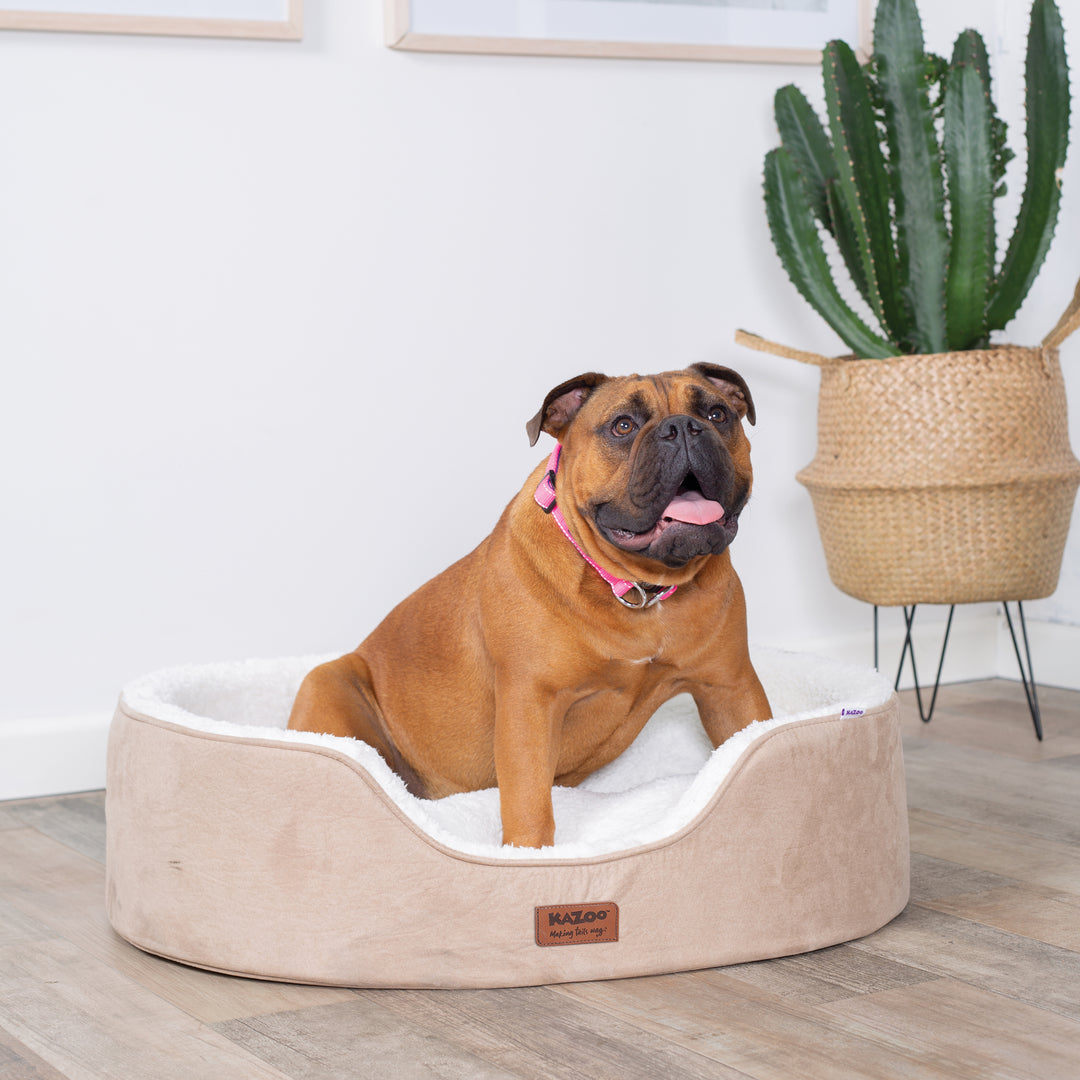 Manhattan Dog Bed - Coffee & White