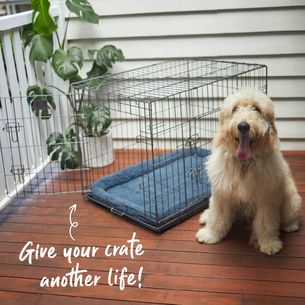 Dog Crate Replacement Tray – Kazoo Pet Co
